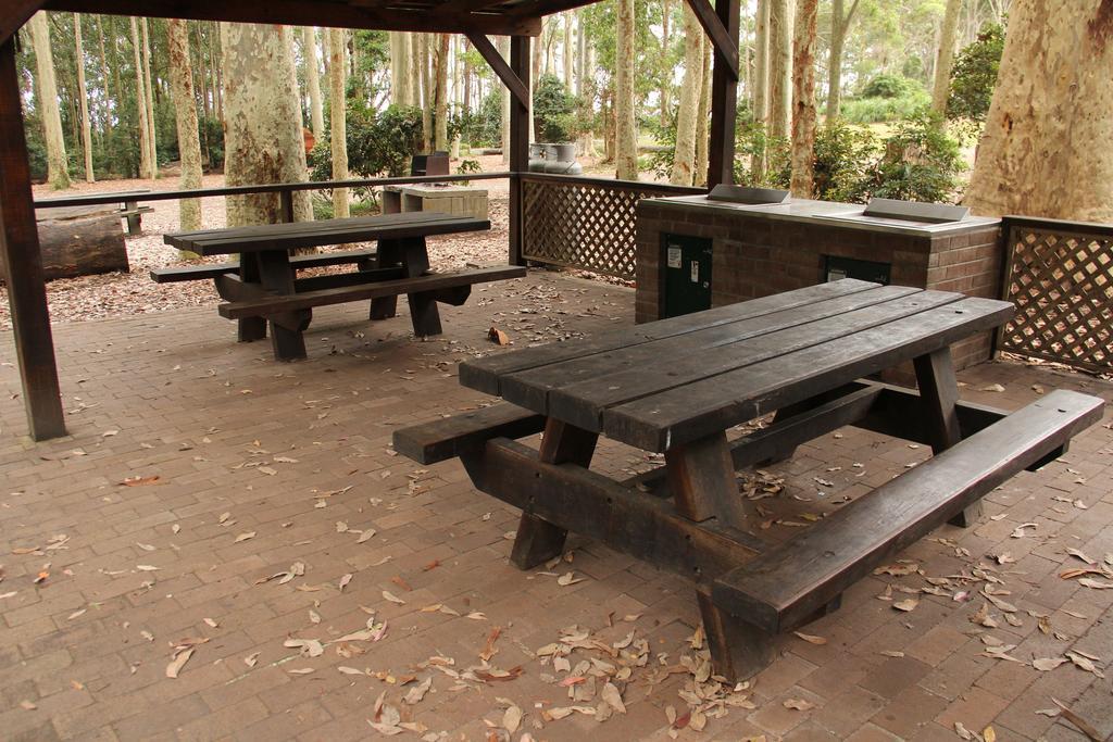 Depot Beach Cabins Villa Durras Exterior photo